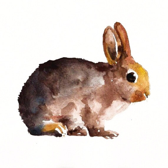 手绘水彩 动物 兔子