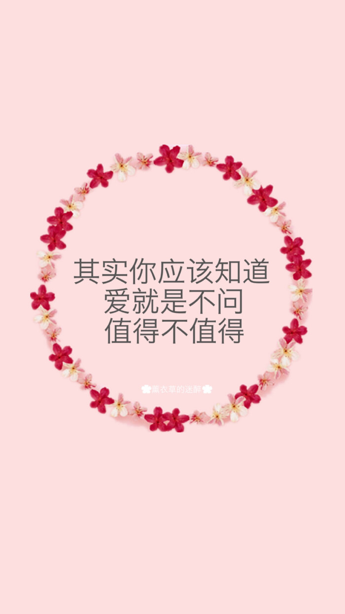 iphone 6 plus高清壁纸,文字,句子,告白,爱情,励志,情书,阳光,语录