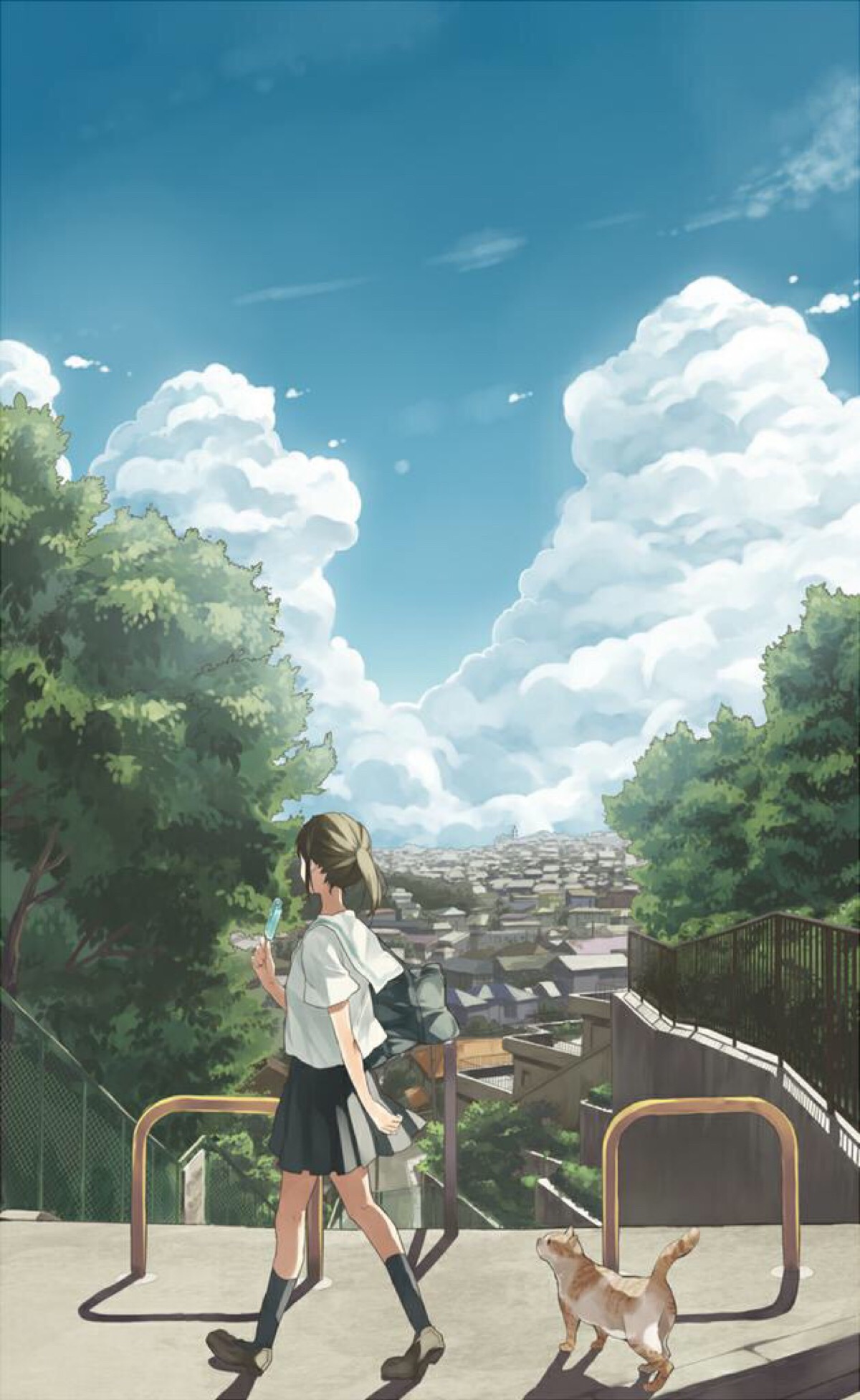 女孩和猫,夏天专属
