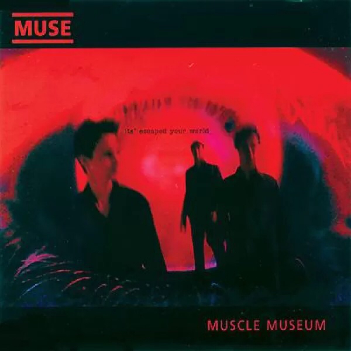 muse-muscle museum-19990111