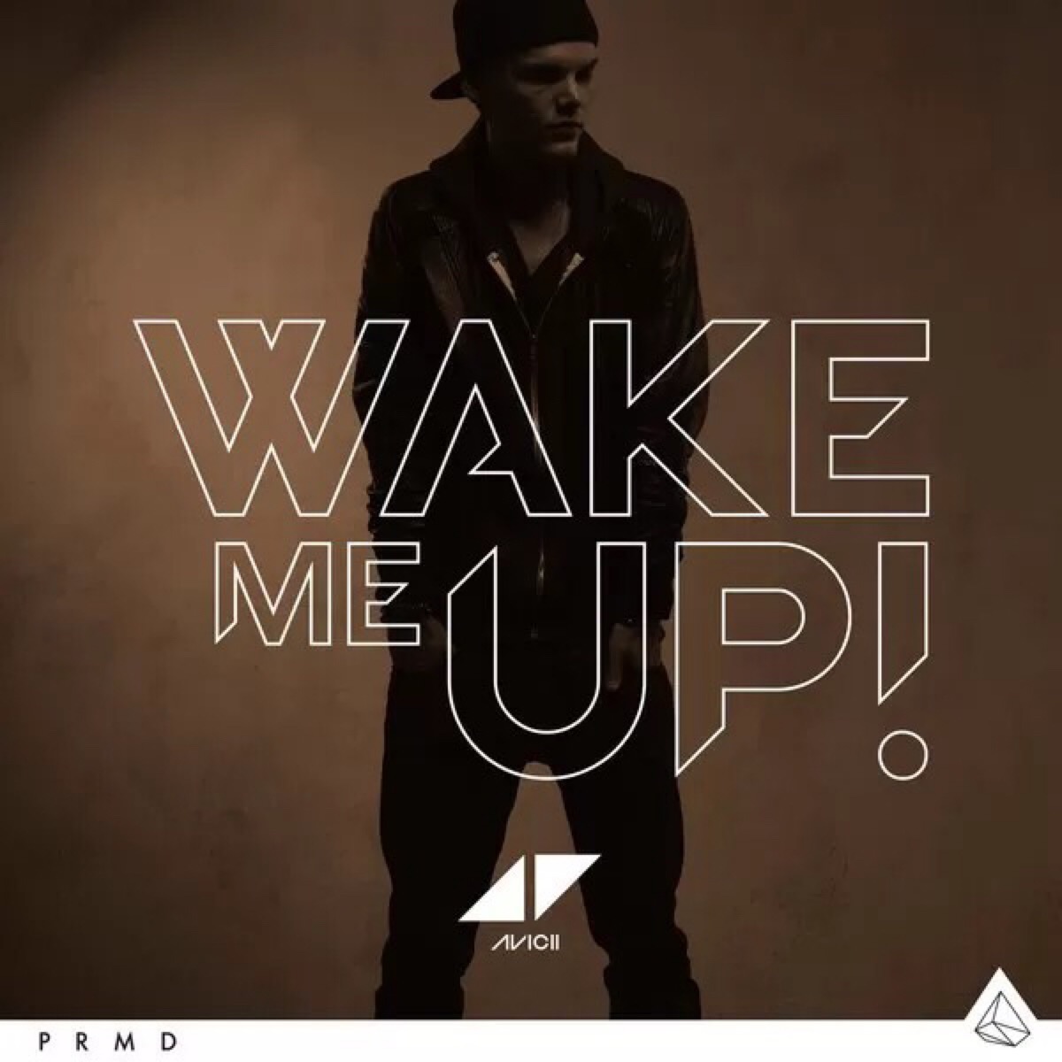 avicii-wake me up-20130617