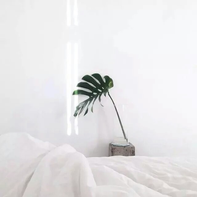 文艺呀!韩系呀!森系啊!欧美系呀!男生呀!女生呀!头像呀!杂图呀!