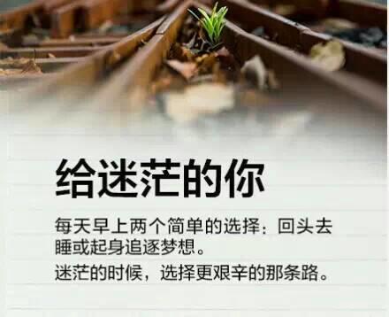 给迷茫的你# #唯美# #文字# #壁纸# #清新# @顾浅浅收 