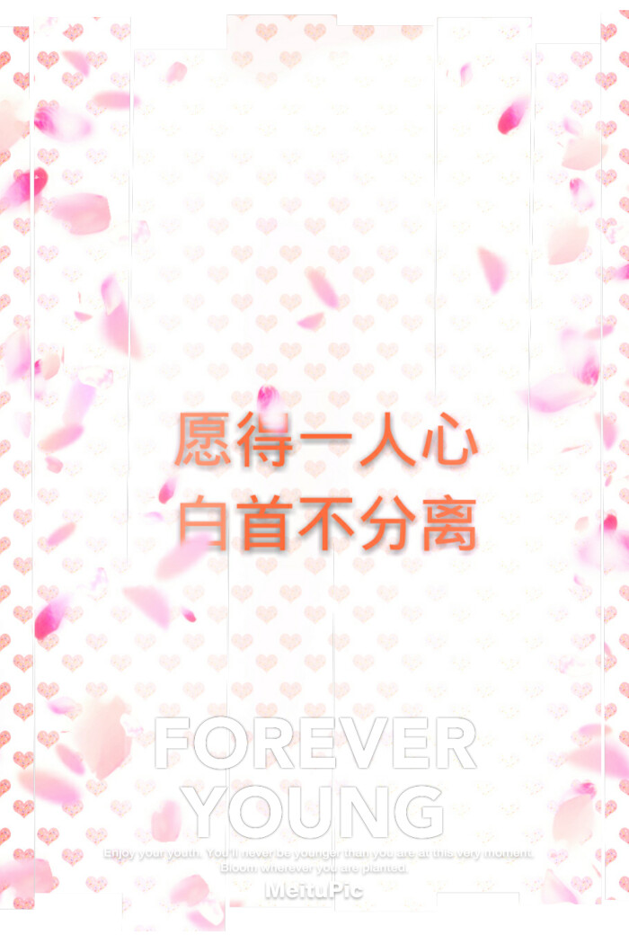 愿得一人心白首不分离