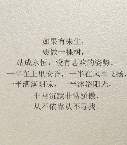 平平淡淡的总是幸福.