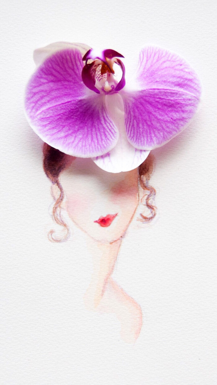 花瓣绘画壁纸