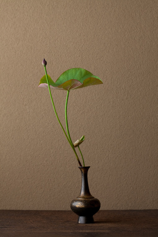 优雅的插花艺术