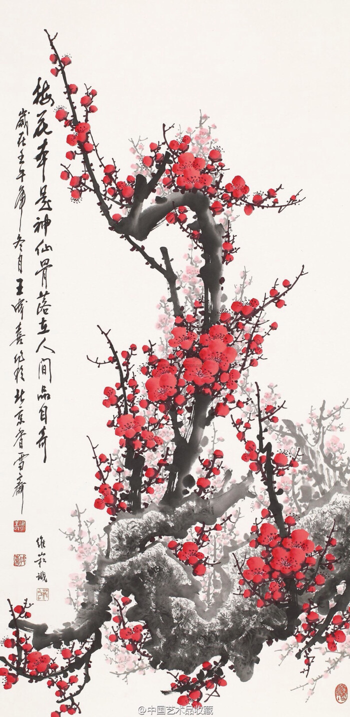 与古人所画的梅花以孤高,冷艳,雅致为尚的格调不同,画家展现了梅花