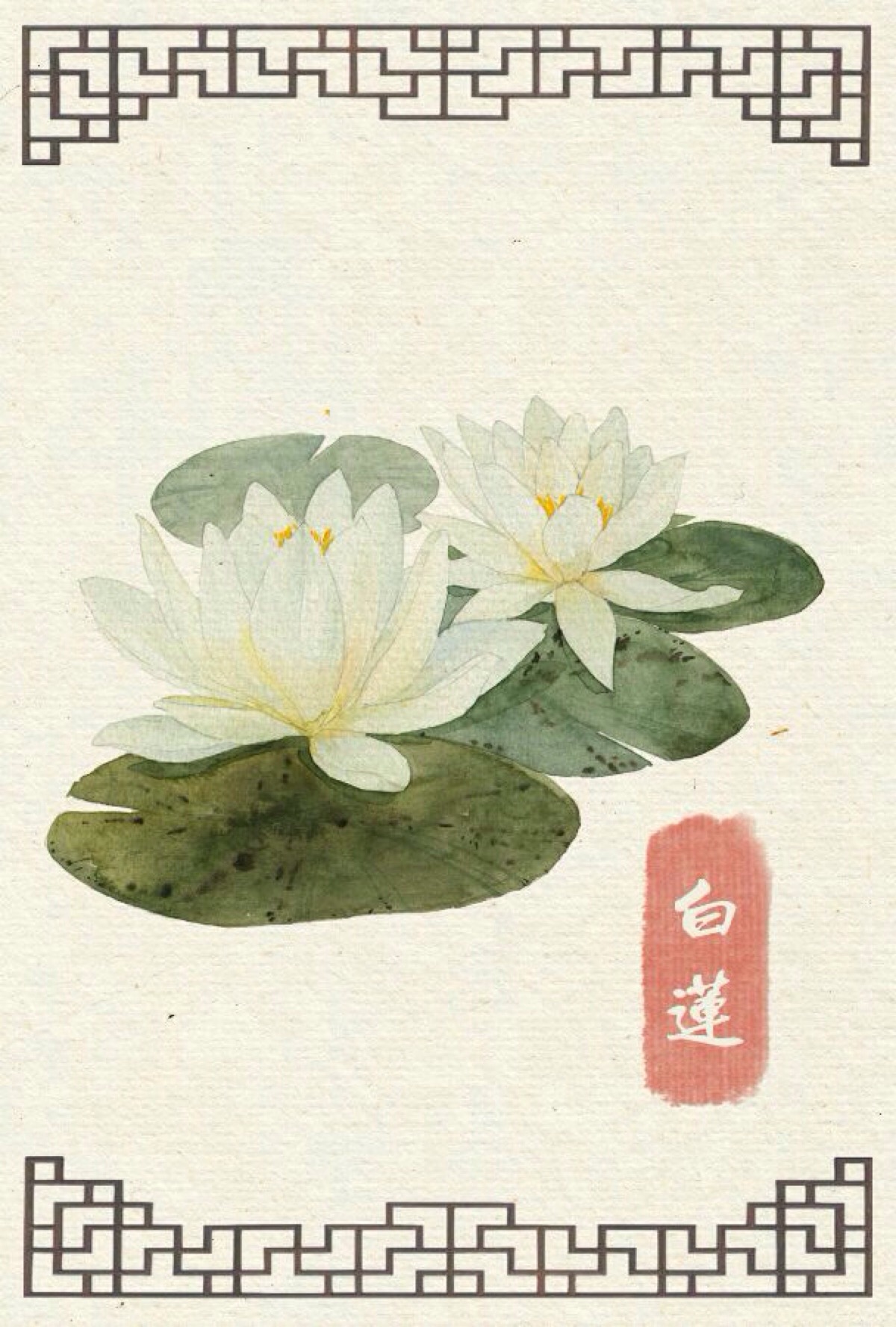 中国风插画 古风 古韵 花卉 水彩 花间 转自网络侵删致歉 【国风雅韵