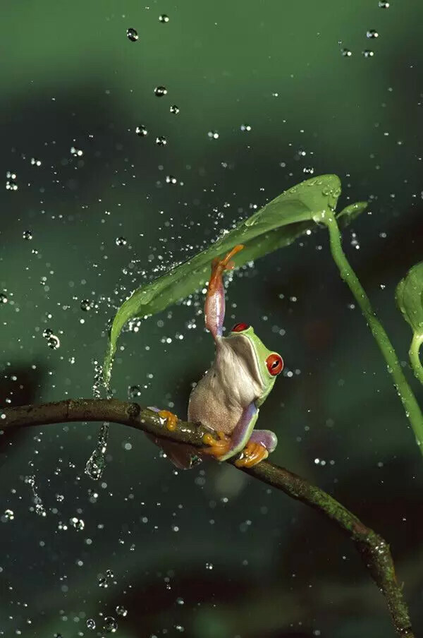 风雨中总有一把伞替你我遮风挡雨