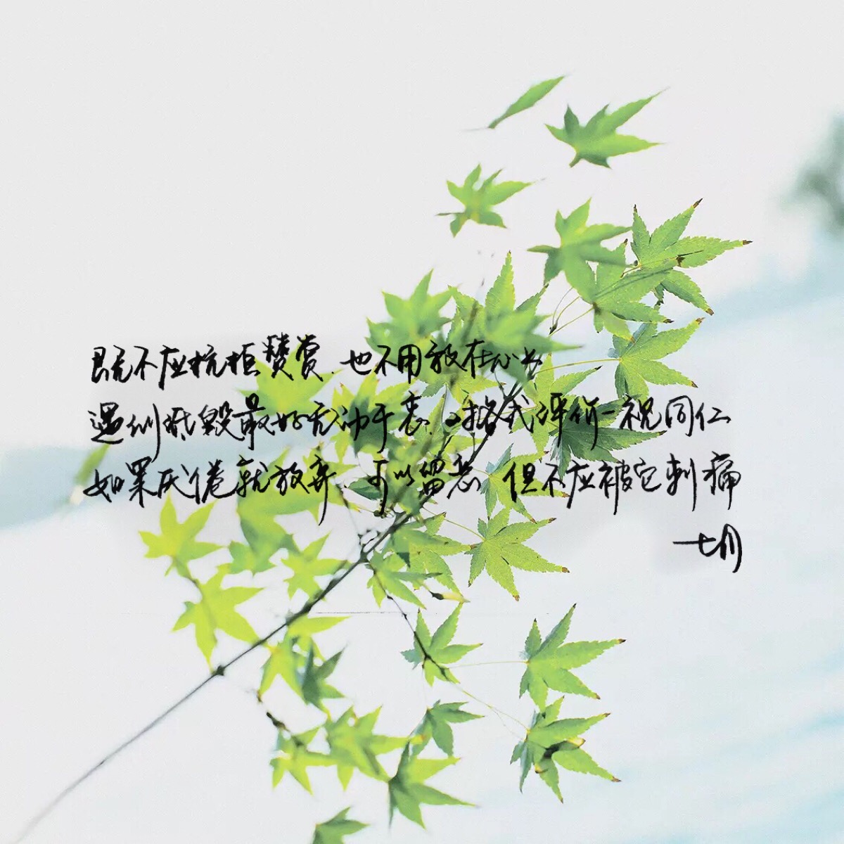 手写 明信片 高清 暖心语录 练字 书法 唯美 意境 文艺 文字 句子