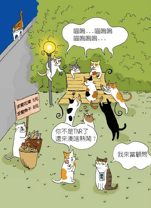 台湾插画师猫小姐的浮世绘风格猫咪插画作品