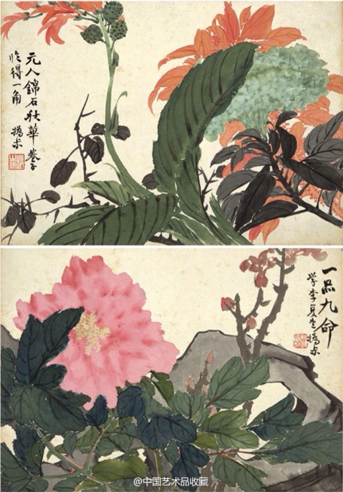 【清 赵之谦《花卉册】册页,纸本,19.5×27.