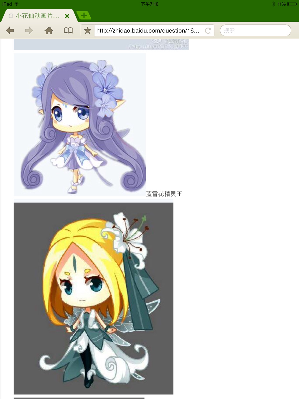 蓝雪花 