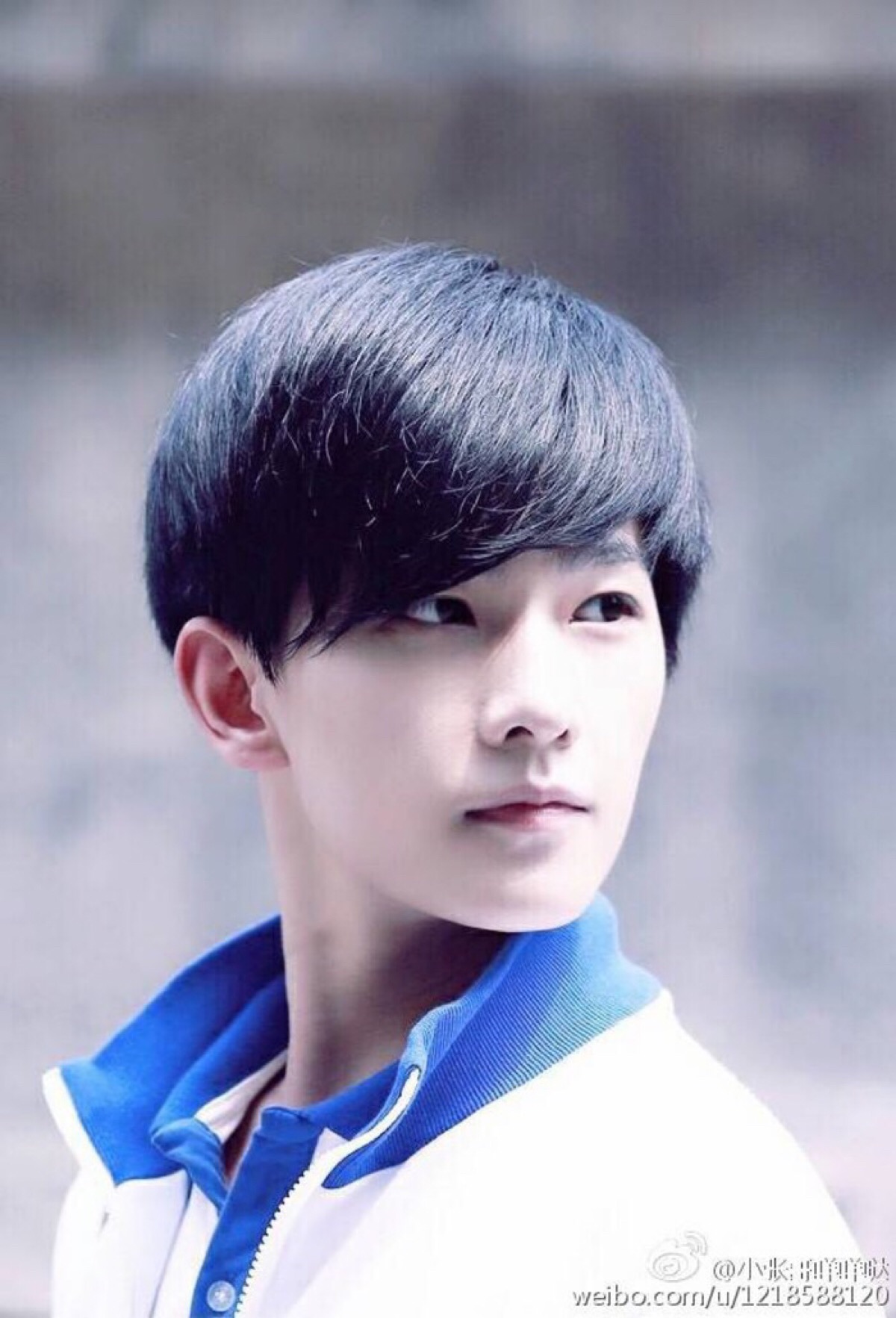 杨洋