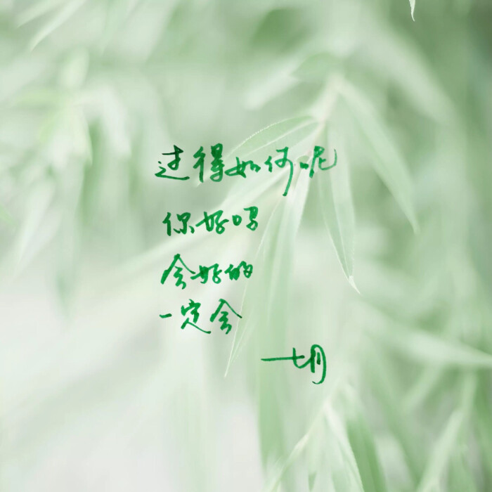 高清 暖心语录 练字 书法 唯美 意境 文艺 文字 句子 文字控 七月手写