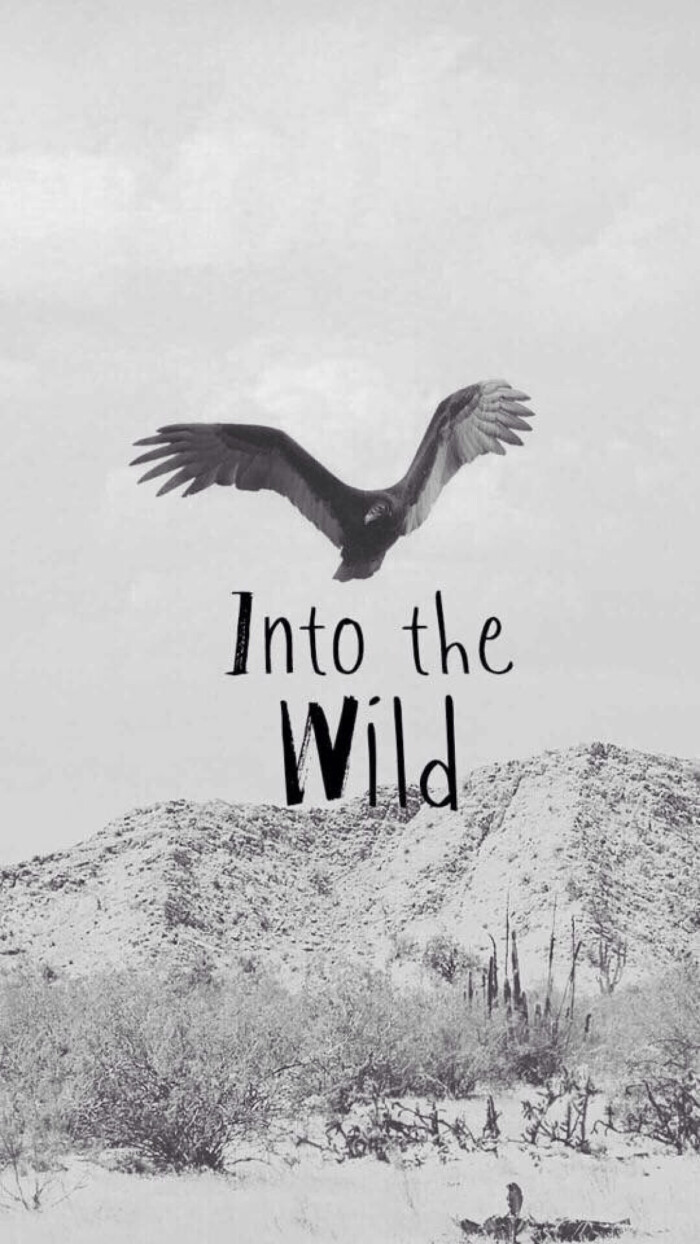 into the wild