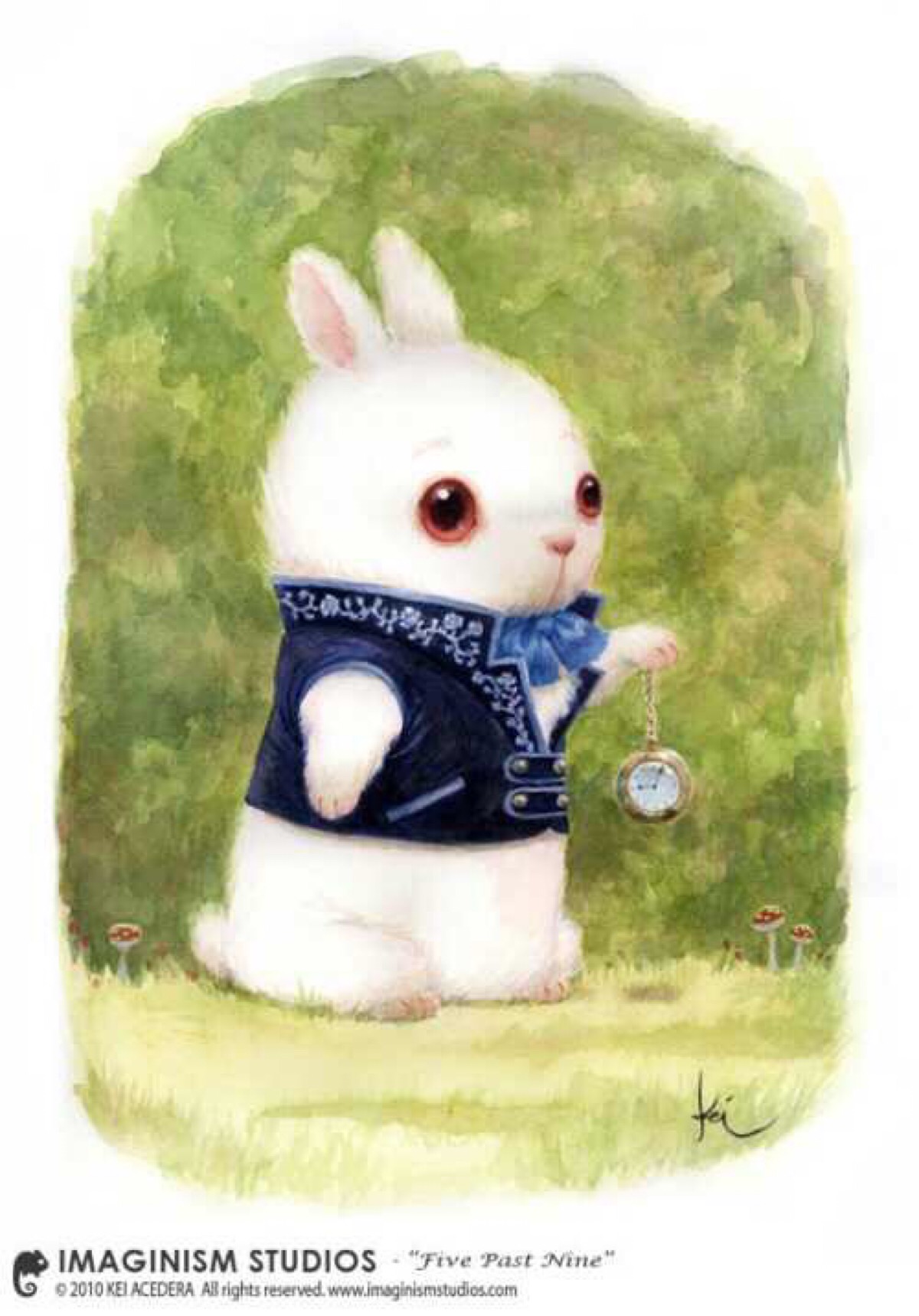 爱丽丝兔子先生