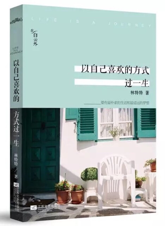 《以自己喜欢的方式过一生》 林特特 《以自己喜欢的方式过一生》记述