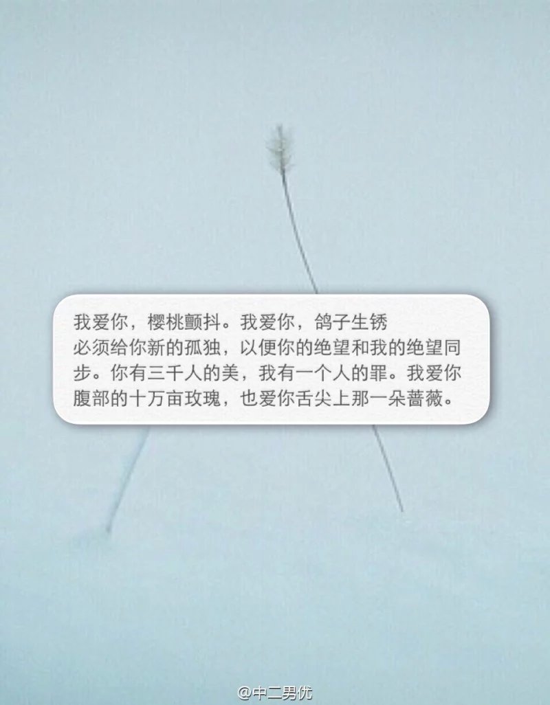 我爱你,樱桃颤抖,我爱你,鸽子生锈 必须给你新的孤独,以便你的绝望和