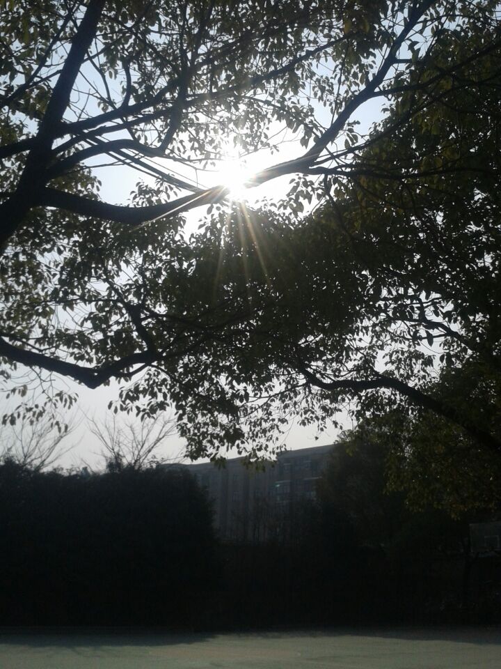 不忘时光里的校园#那天,阳光,微风,正好,我就忽然爱上了你——母校