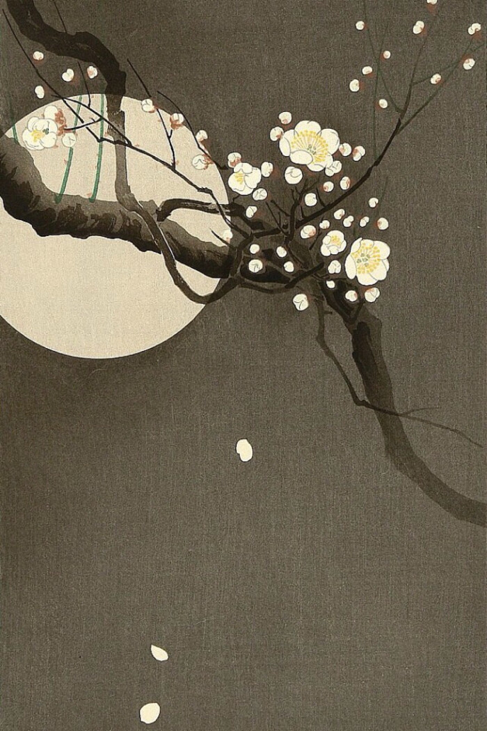 flowering plum and moon 小原古邨作品:梅花与月亮