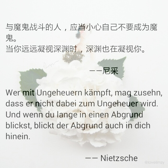 当你远远凝视深渊时,深渊也在凝视你. ——尼采