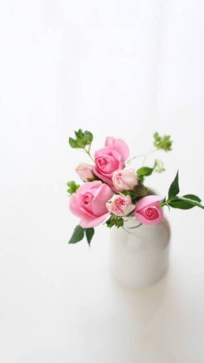 浪漫唯美鲜花壁纸