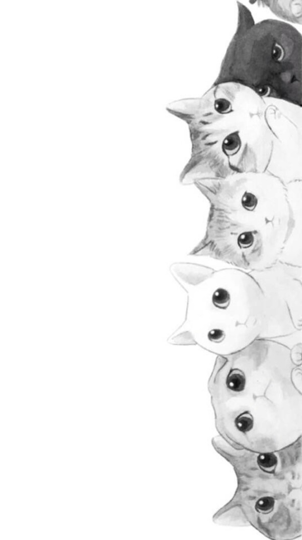 猫咪,黑白.