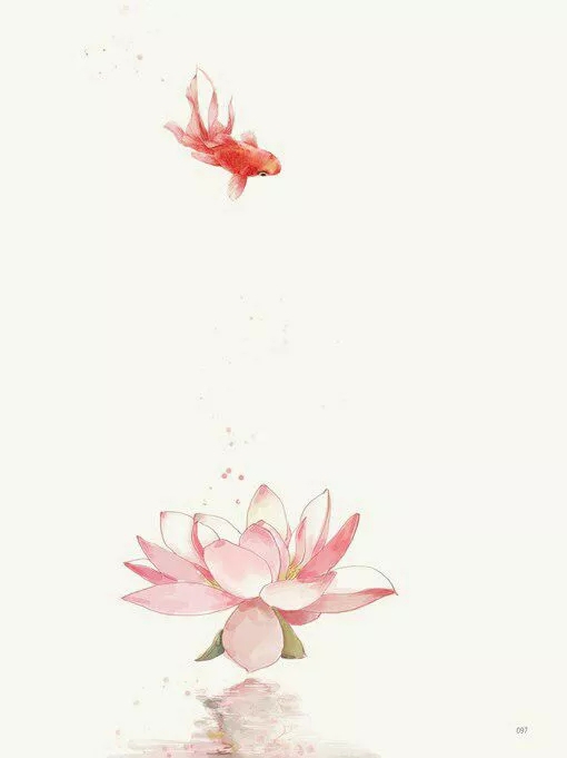 莲花 鱼