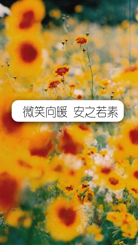 微笑向暖,安之若素.『原创』【杂句心情语录】无水印.