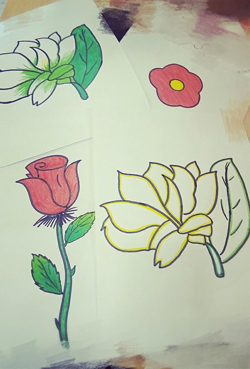 插画 手绘 水彩笔 随笔 儿童画 卡通 植物