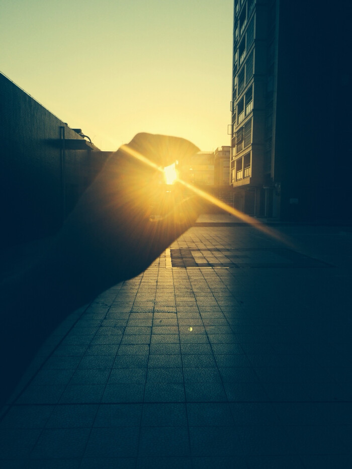 一路奔跑,以为抓住夕阳就没有黑夜