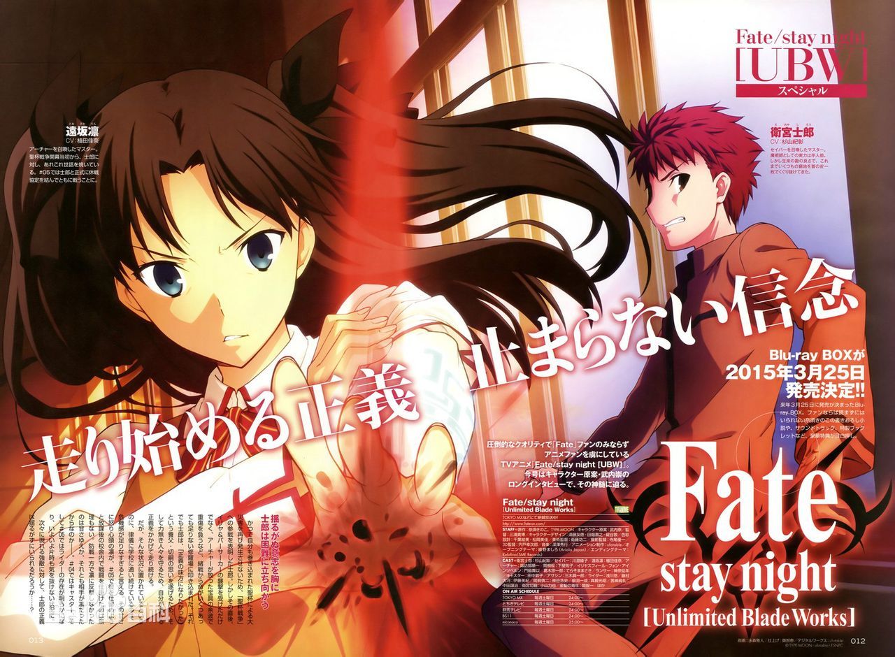 fate stay night ubw