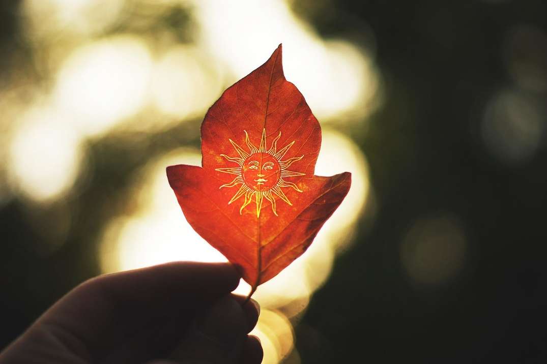 做自己的小太阳.