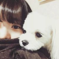 情侣头像 萌宠