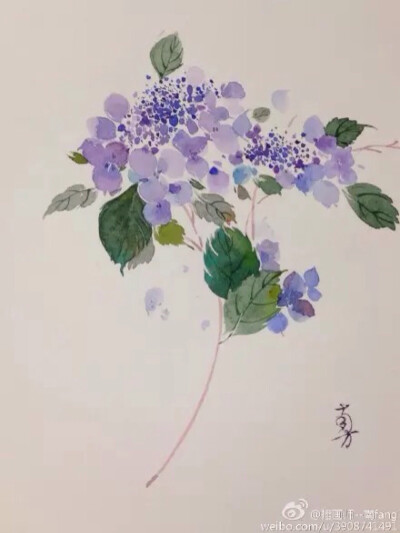 作者@南方 中国风插画古风 古韵 水彩 植物 花间 转自网络侵删致歉