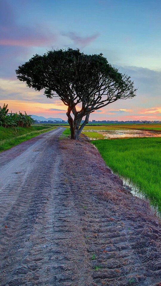 壁纸,风景,景物,(爱壁纸)