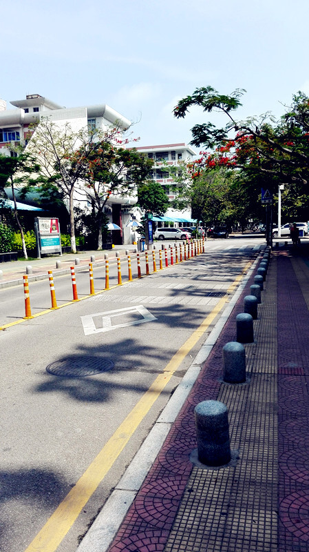 厦门堪比香港的干净街道,而且比香港更加具有亲切气息,不高冷