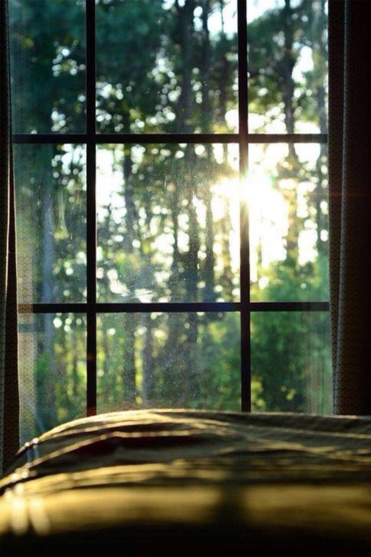 清晨.阳光.窗台与树林