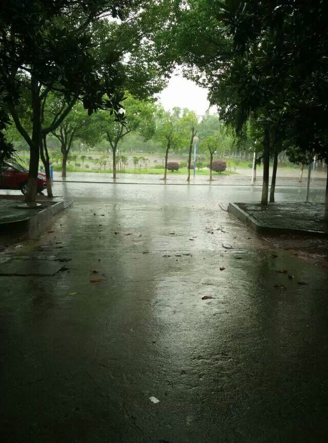 这天气半点不由人,说下雨就下雨