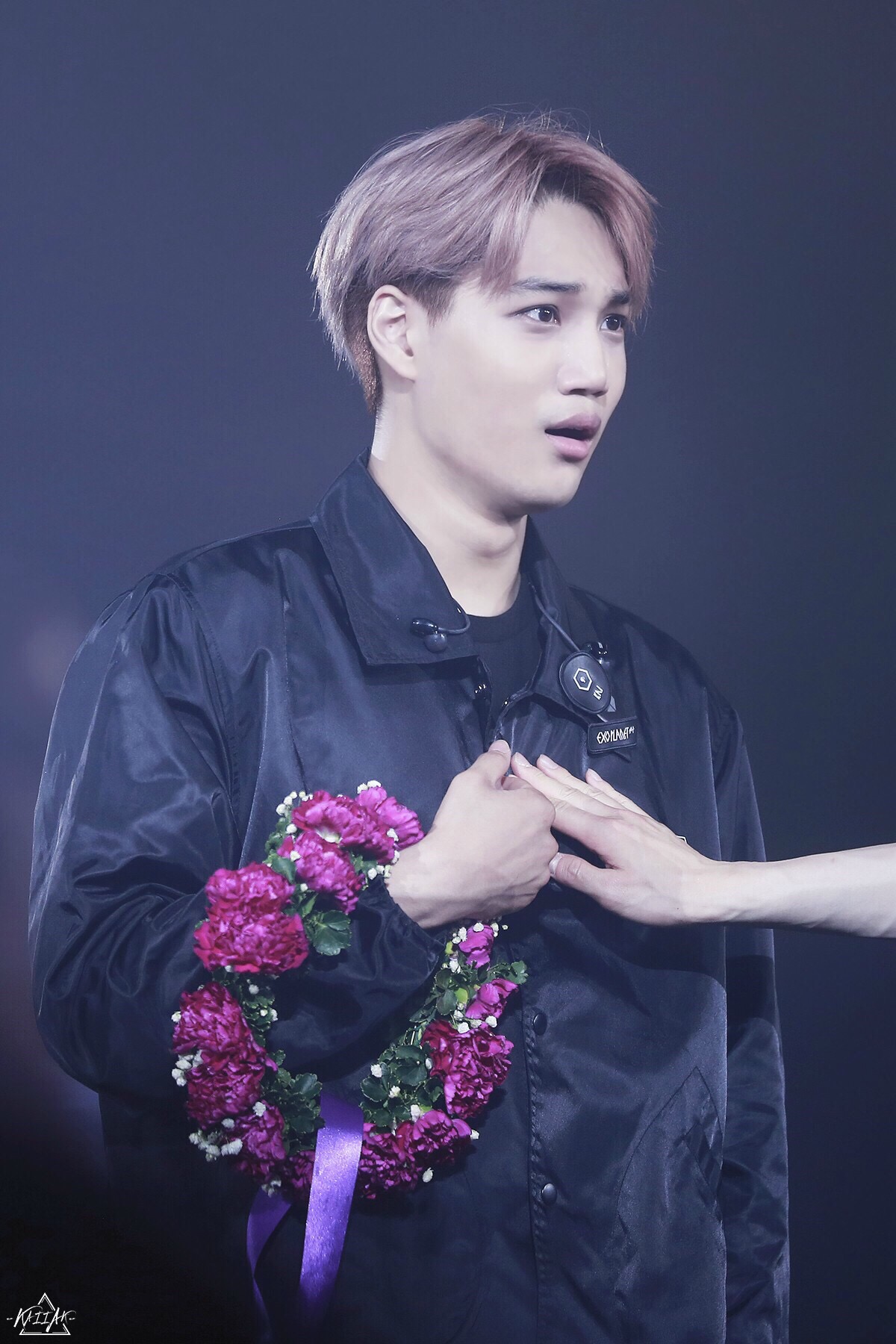 exo kai 金钟仁