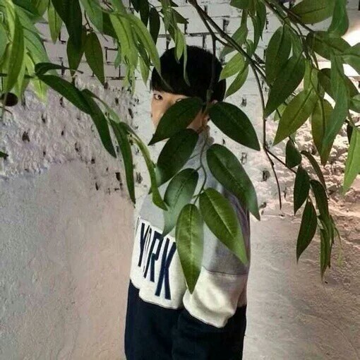 头像 男头 女头 情侣头像(6565)