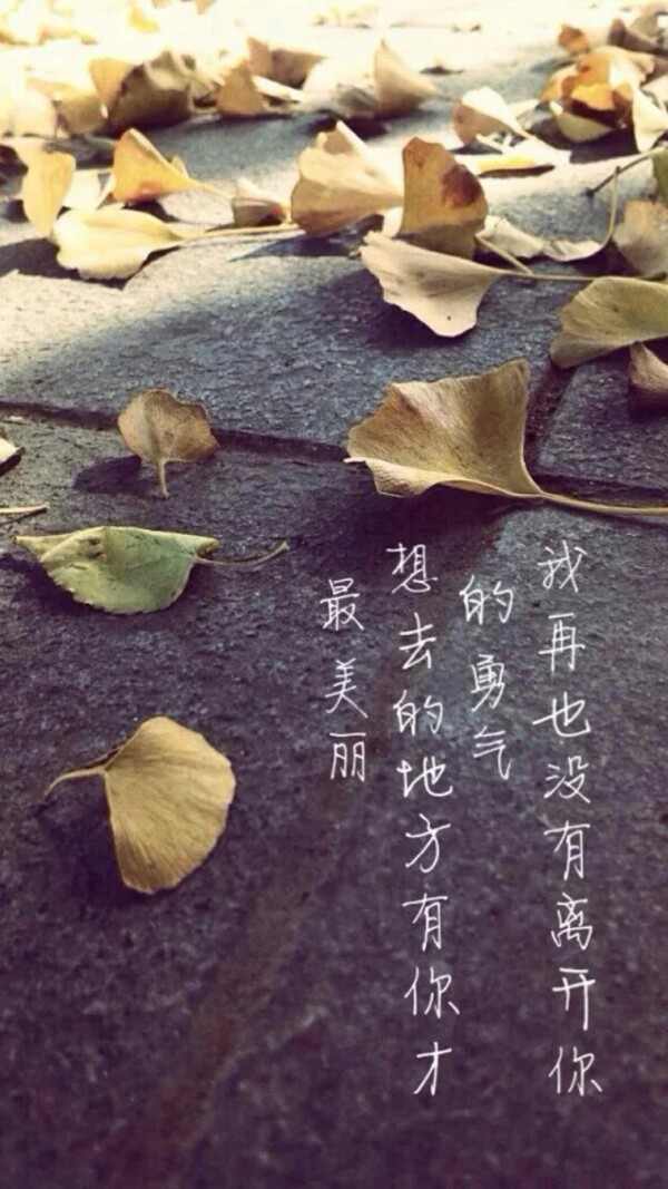 真的不想离开你.