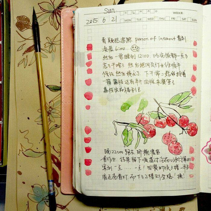 2015-6-21佑叔写的手帐 那天吃了好吃的荔枝