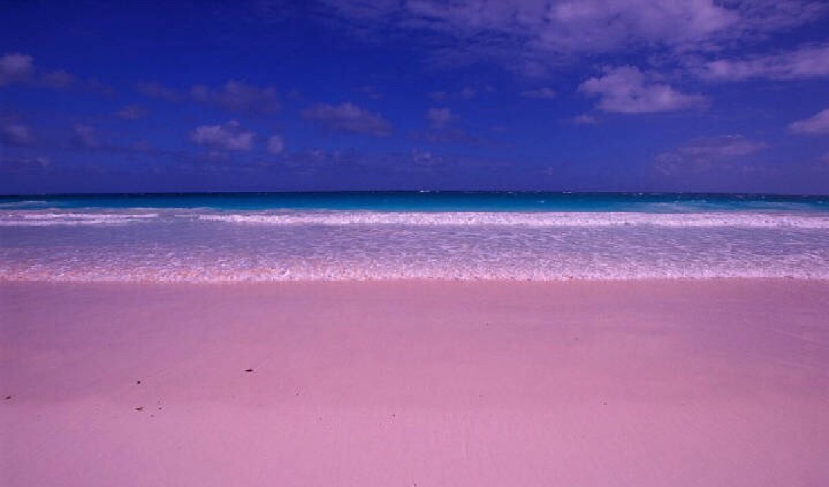 巴哈马群岛上哈勃岛的粉色沙滩