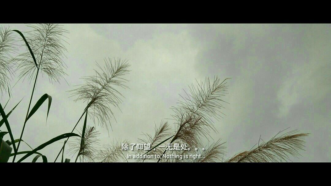 谁的青春不迷茫