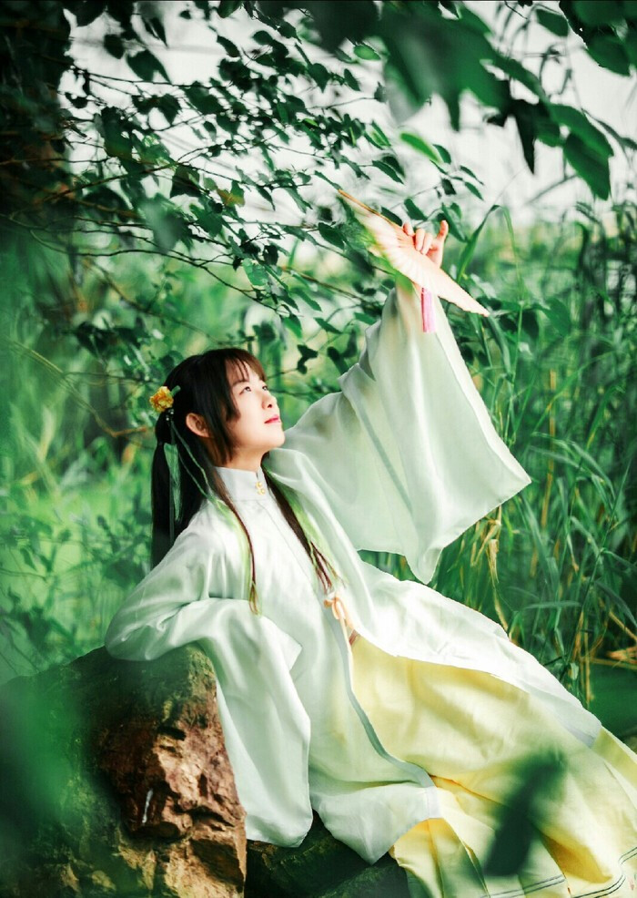 「汉服.古韵.美人.欷鹤.临江仙」帝子降兮北渚,目眇眇兮愁予.