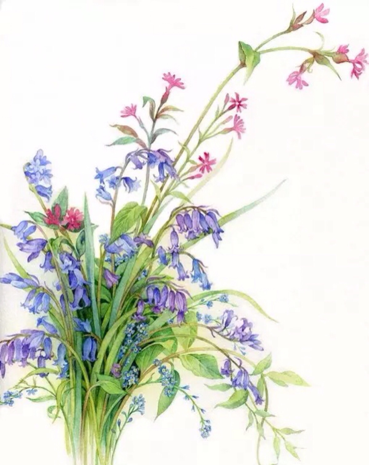 清新水彩画 手绘 花卉 植物 自然风景 清新淡雅 唯美插画