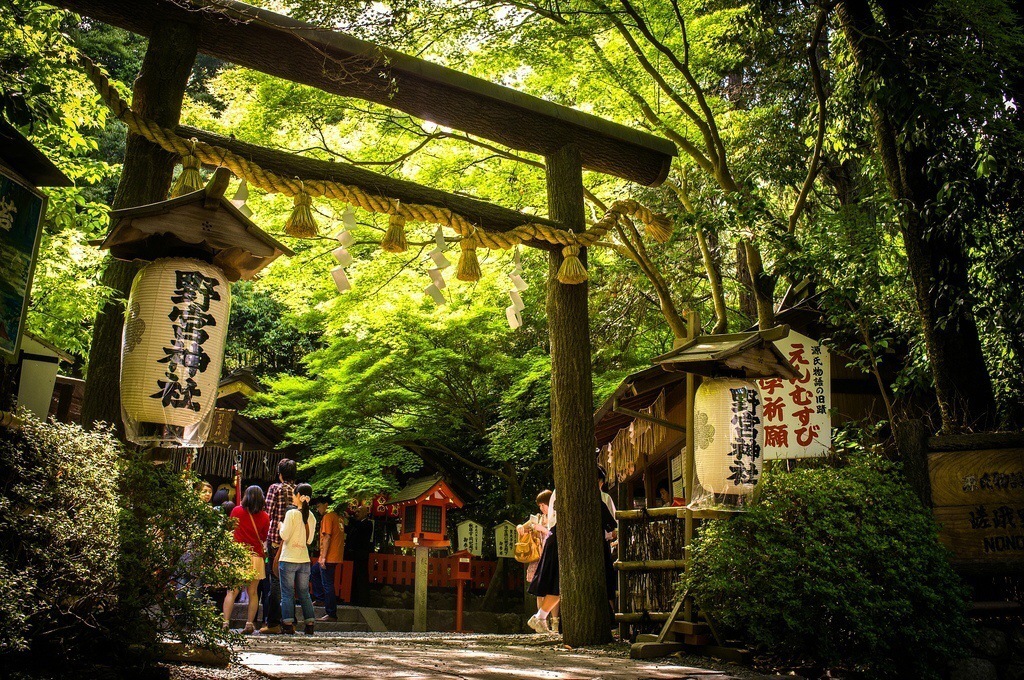 夏日 日本庭院 绿色 旅行 静美